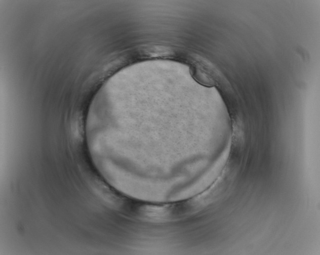 X0000113260170200910081347
