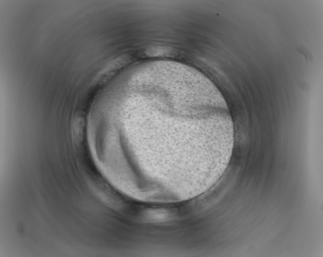 X0000113260171200910081347