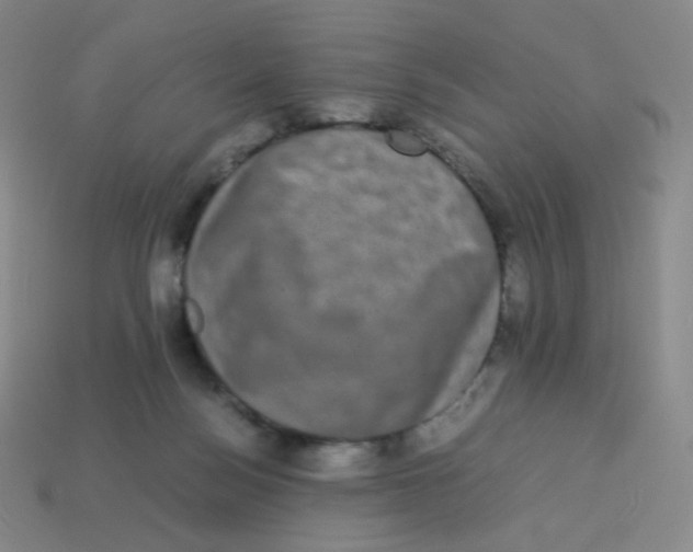 X0000113260172200910081347