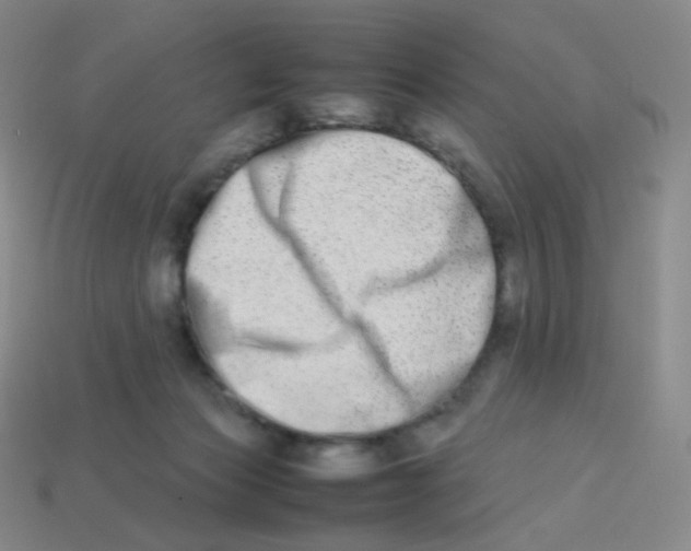 X0000113260173200910081347