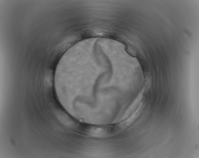 X0000113260174200910081347