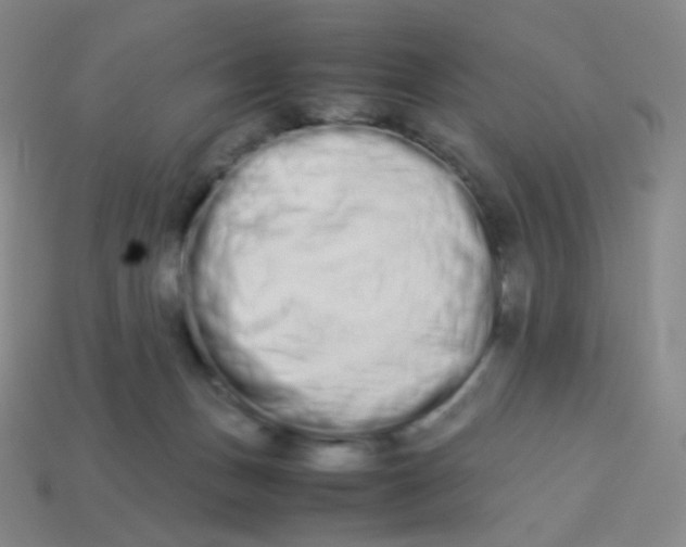 X0000113260175200910081347