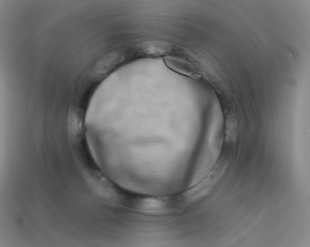 X0000113260176200910081347