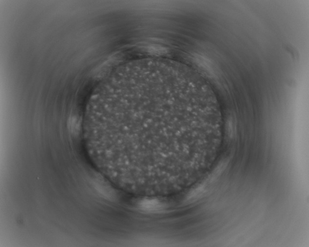 X0000113260177200910081347