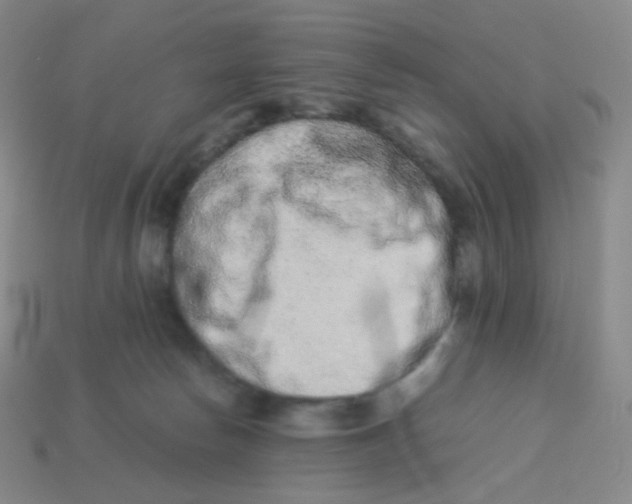 X0000113260178200910081347