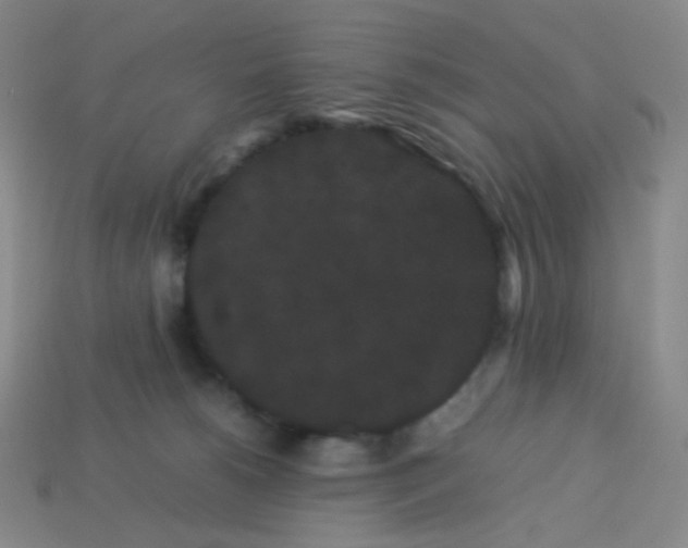 X0000113260180200910081347