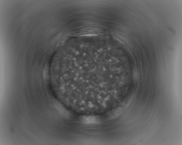 X0000113260181200910081347
