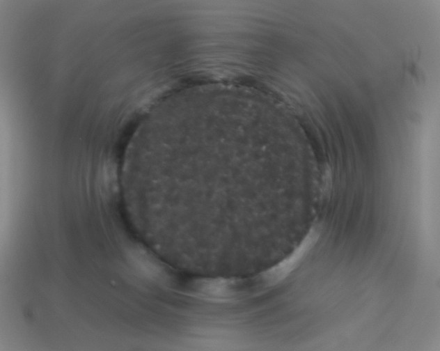 X0000113260182200910081347
