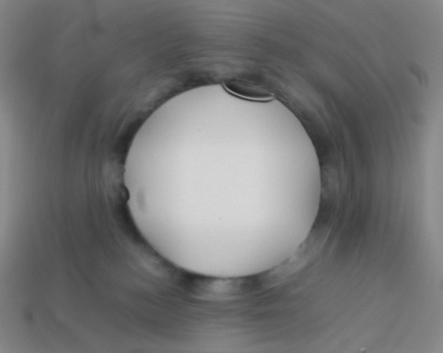 X0000113260184200910081347