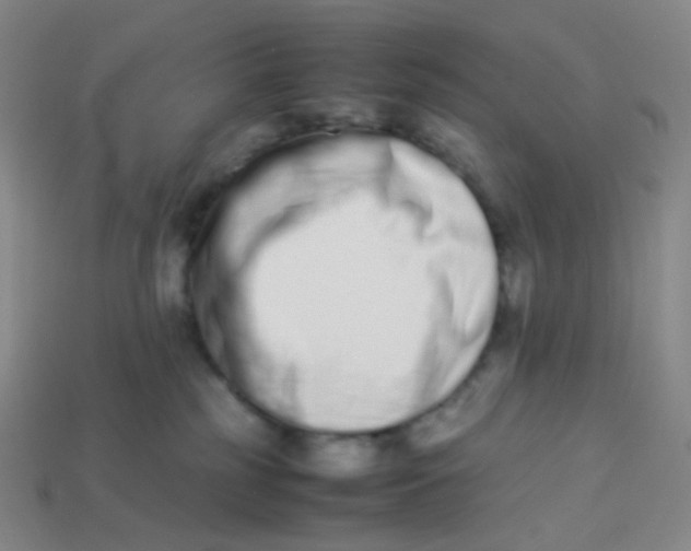 X0000113260185200910081347