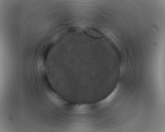 X0000113260186200910081347