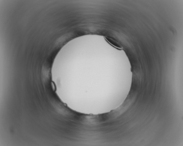 X0000113260188200910081347