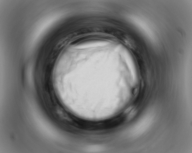X0000113260189200910081347