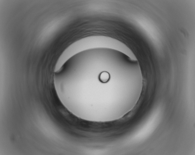 X0000113260190200910081347