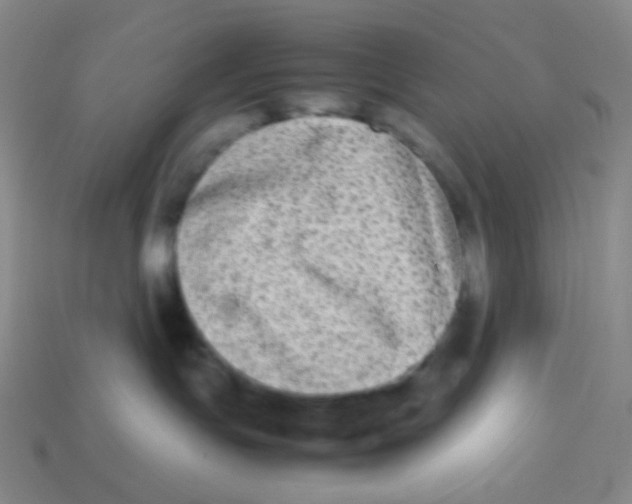 X0000113260191200910081347