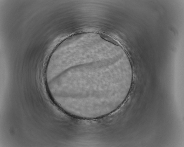 X0000113260193200910081346
