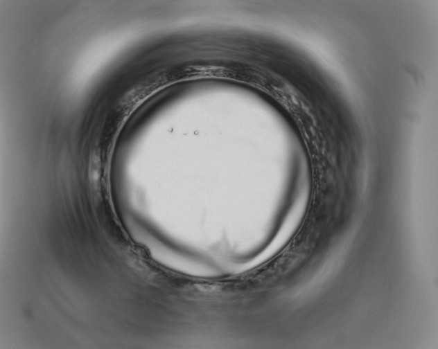X0000113260194200910081346