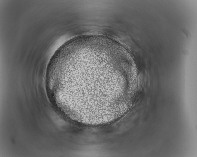 X0000113260195200910081346