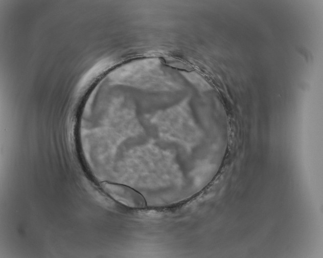 X0000113260197200910081346