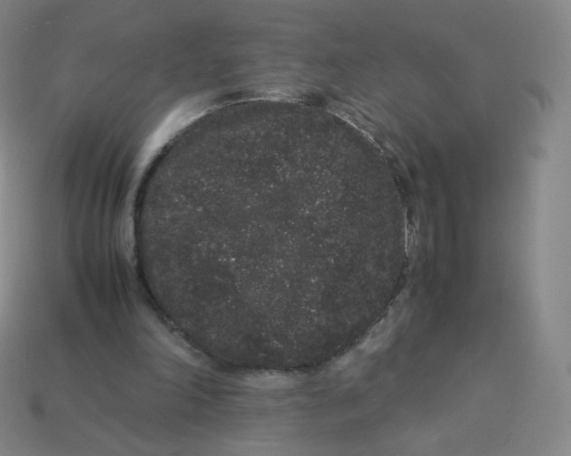 X0000113260198200910081346