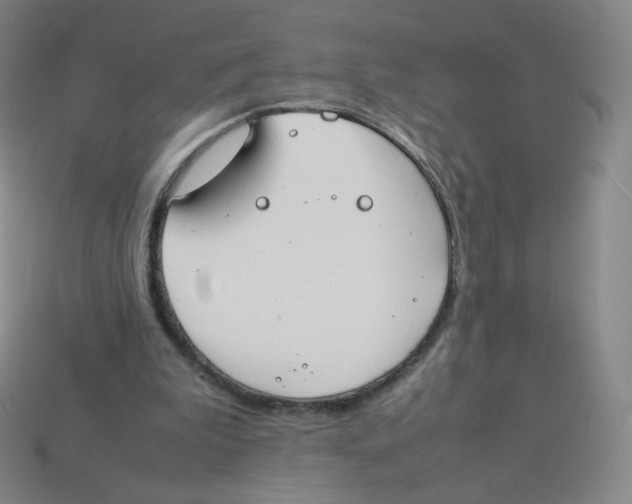 X0000113260199200910081346