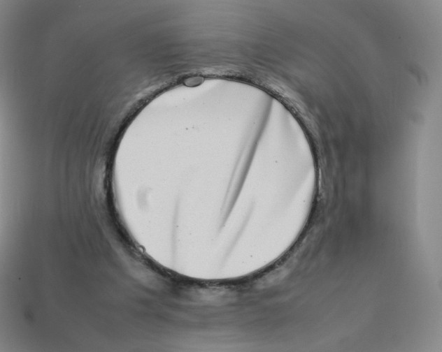 X0000113260201200910081346