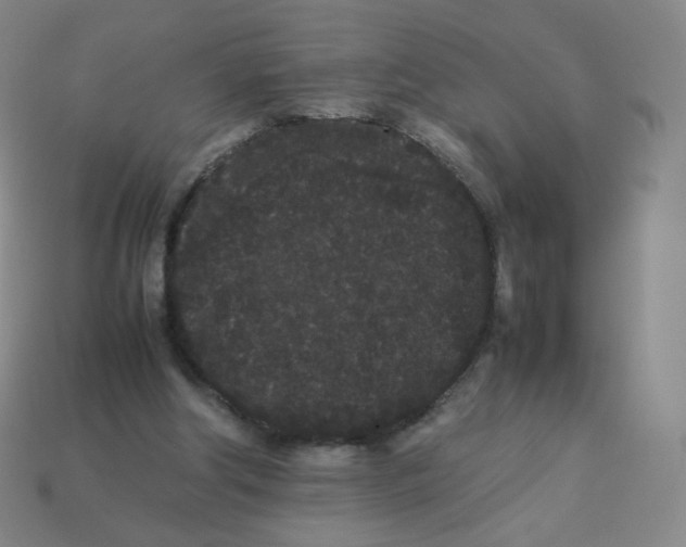 X0000113260202200910081346