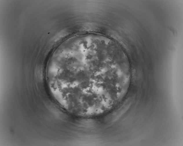 X0000113260203200910081346