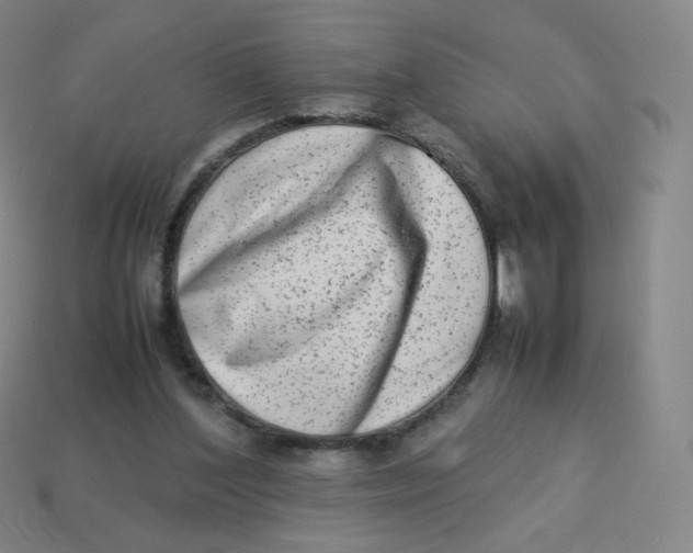 X0000113260204200910081346