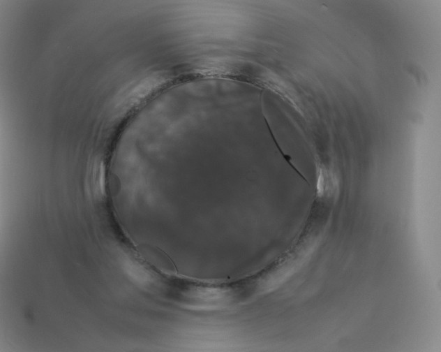 X0000113260205200910081346