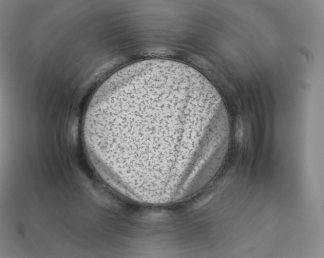 X0000113260206200910081346