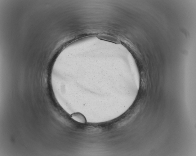 X0000113260207200910081346