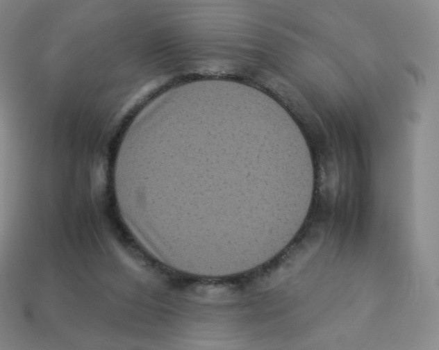X0000113260208200910081346