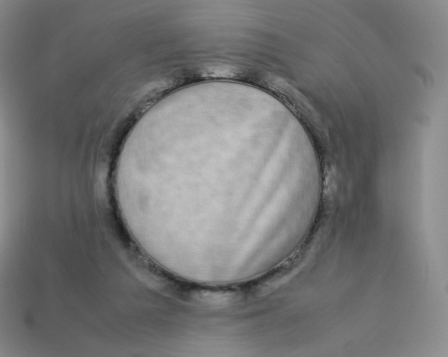X0000113260209200910081346