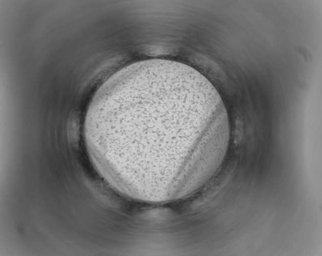 X0000113260210200910081346