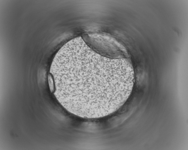 X0000113260211200910081346