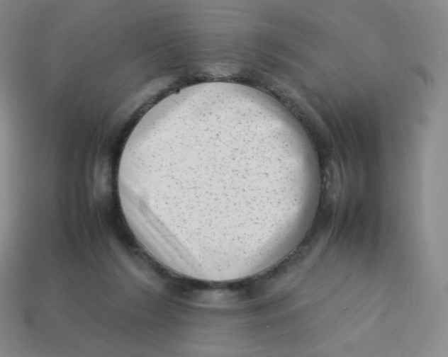 X0000113260212200910081346