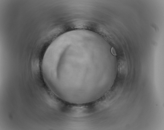 X0000113260213200910081346