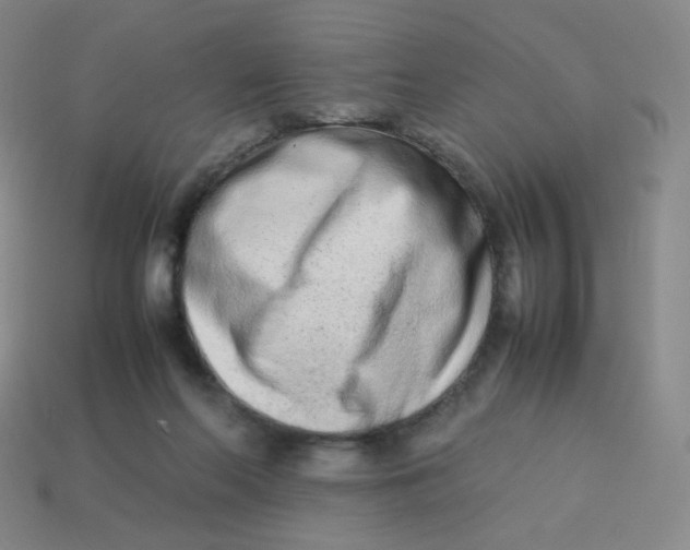 X0000113260214200910081346