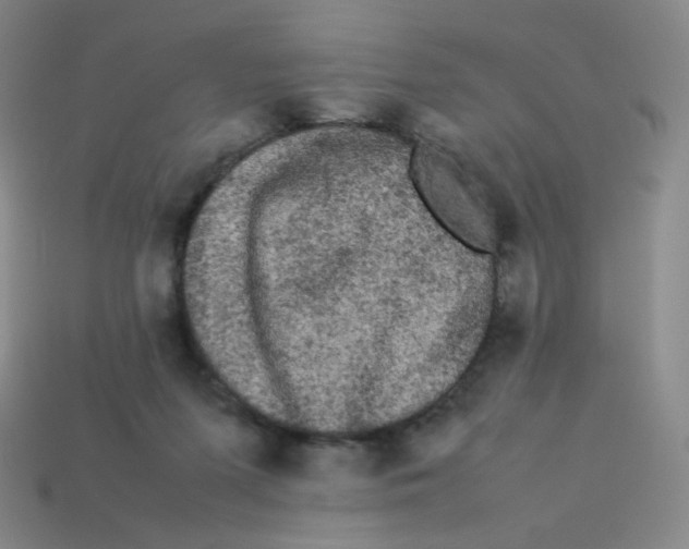 X0000113260215200910081346