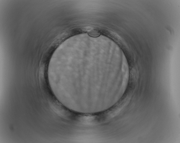 X0000113260217200910081346
