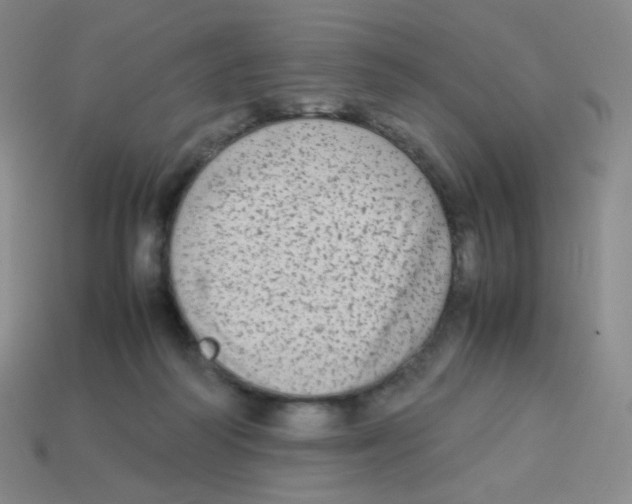 X0000113260218200910081346