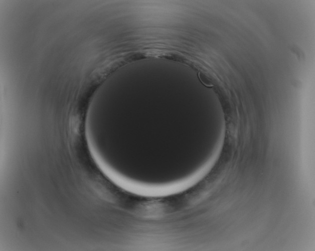 X0000113260219200910081346