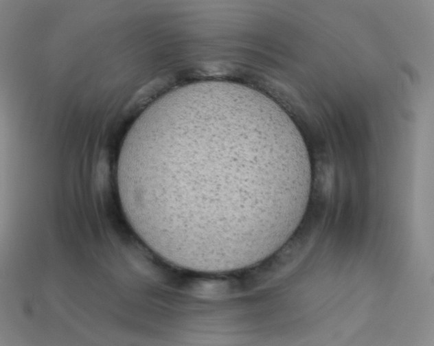 X0000113260220200910081346
