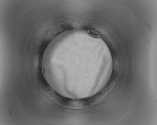 X0000113260221200910081346