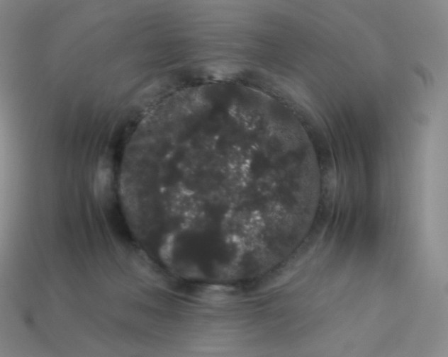 X0000113260222200910081346