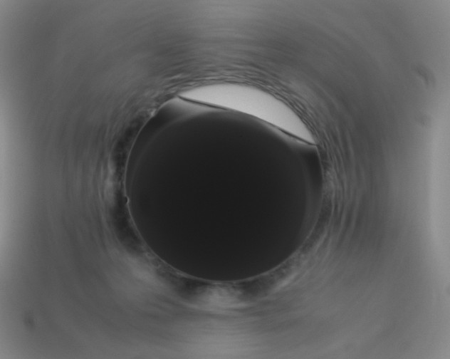 X0000113260223200910081346