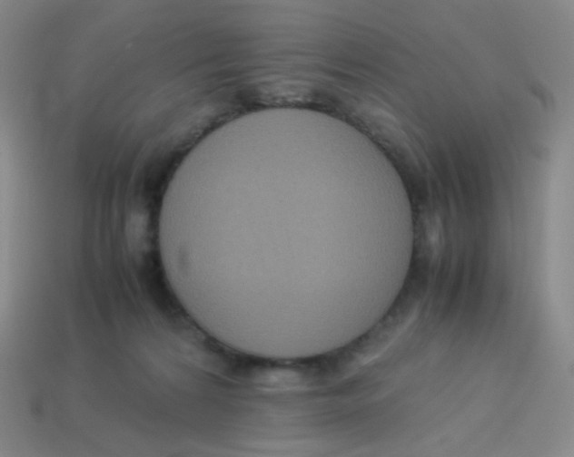 X0000113260224200910081346