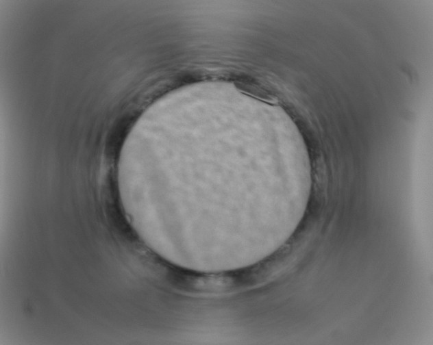 X0000113260225200910081346