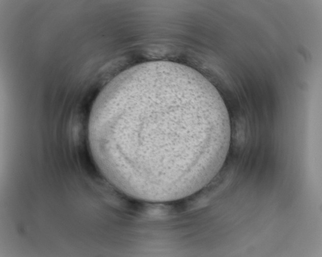 X0000113260226200910081346